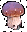champignon
