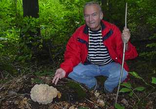 chasse aux champignons
