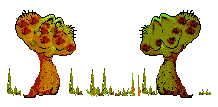 champignons