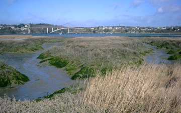 grve des Bas-champs